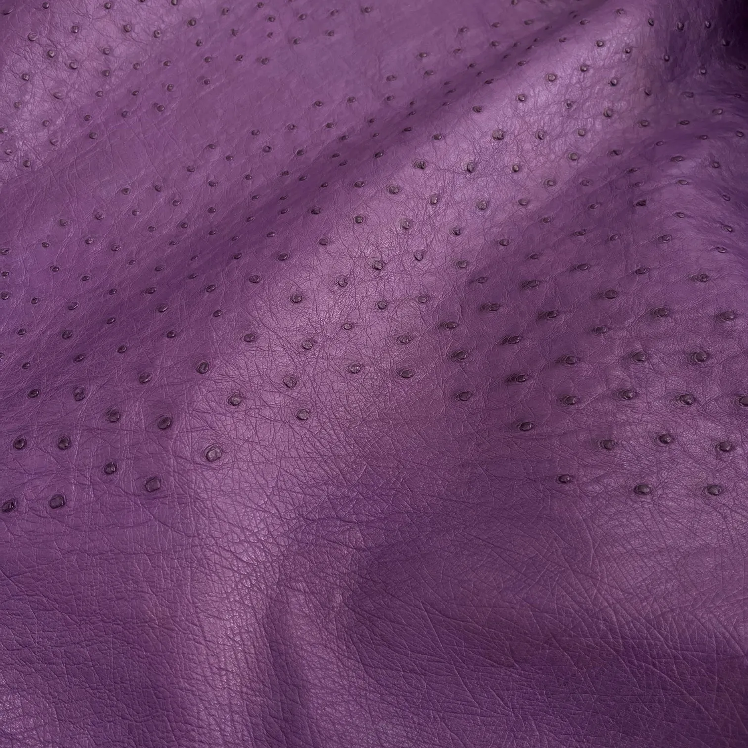 Ostrich Leather Hide | Violet