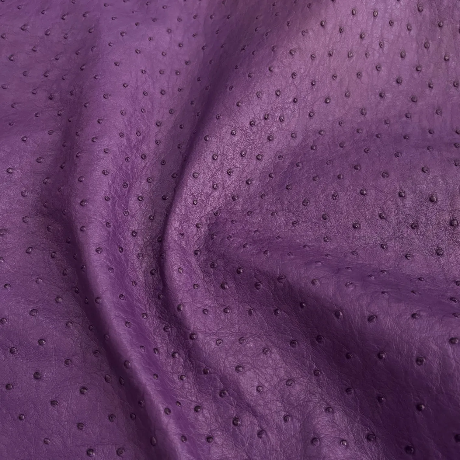 Ostrich Leather Hide | Violet